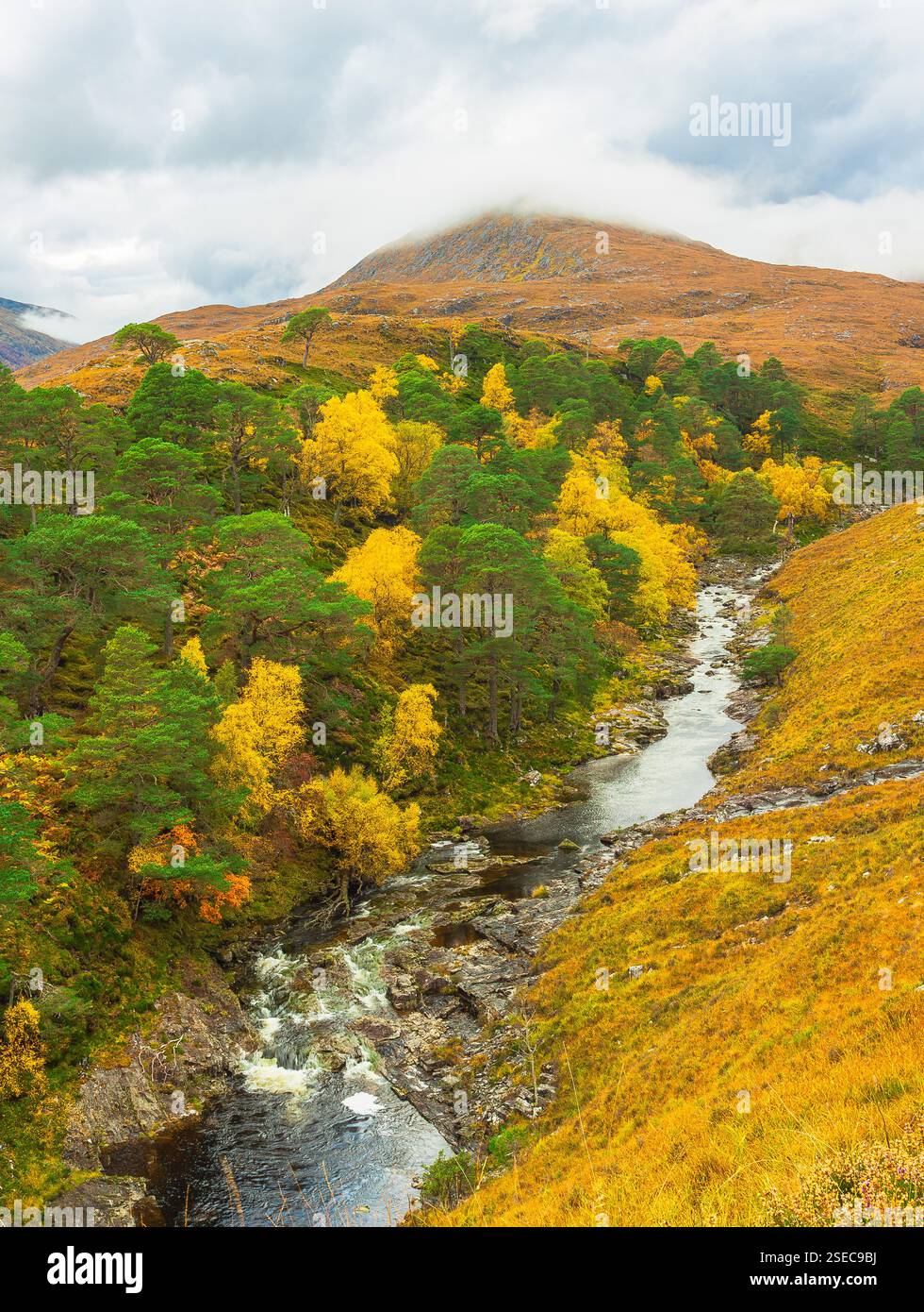 Glen Strathfarrar in Autumn.  Portrait of this beautiful Glen in Scotland with rare Aspen trees the River Farrar, and low cloud over the mountains.  V Stock Photo