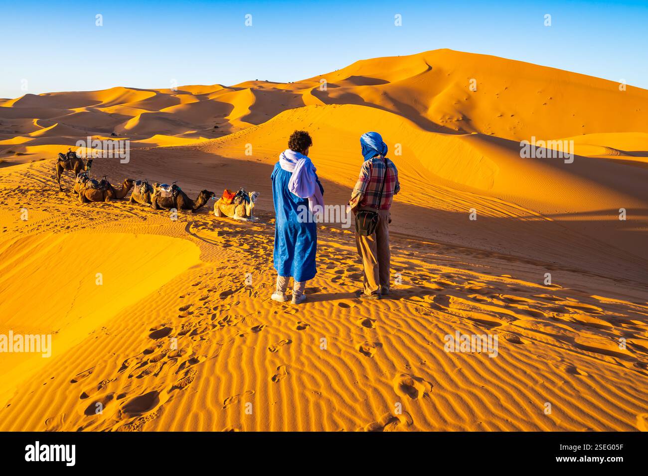arab-men-guides-resting-with-camels-on-sand-dune-at-erg-chebbi-sahara