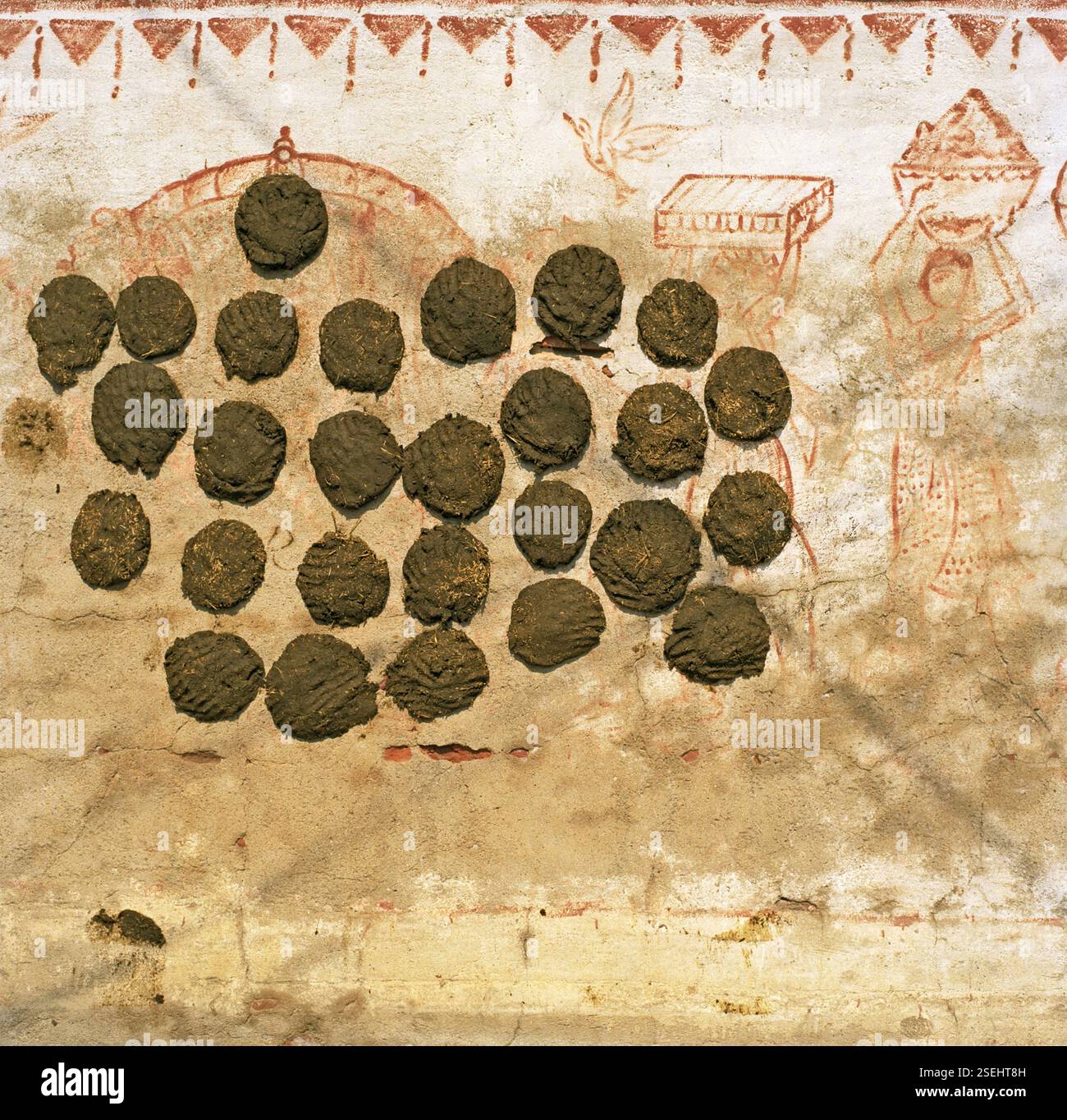 Cow dung cakes hi-res stock photography and images - Alamy