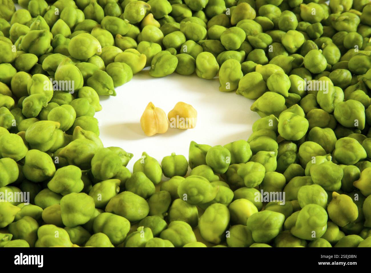 Вера Брежнева жалаңаш порно