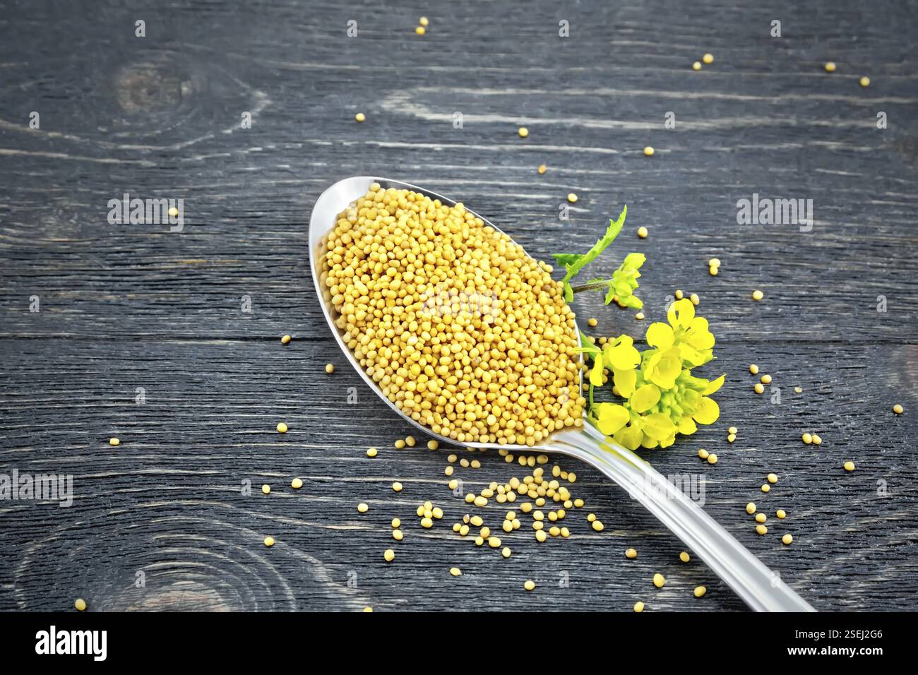Mustard seeds in a metal spoon with a flower on the background of a wooden board Stock Photo