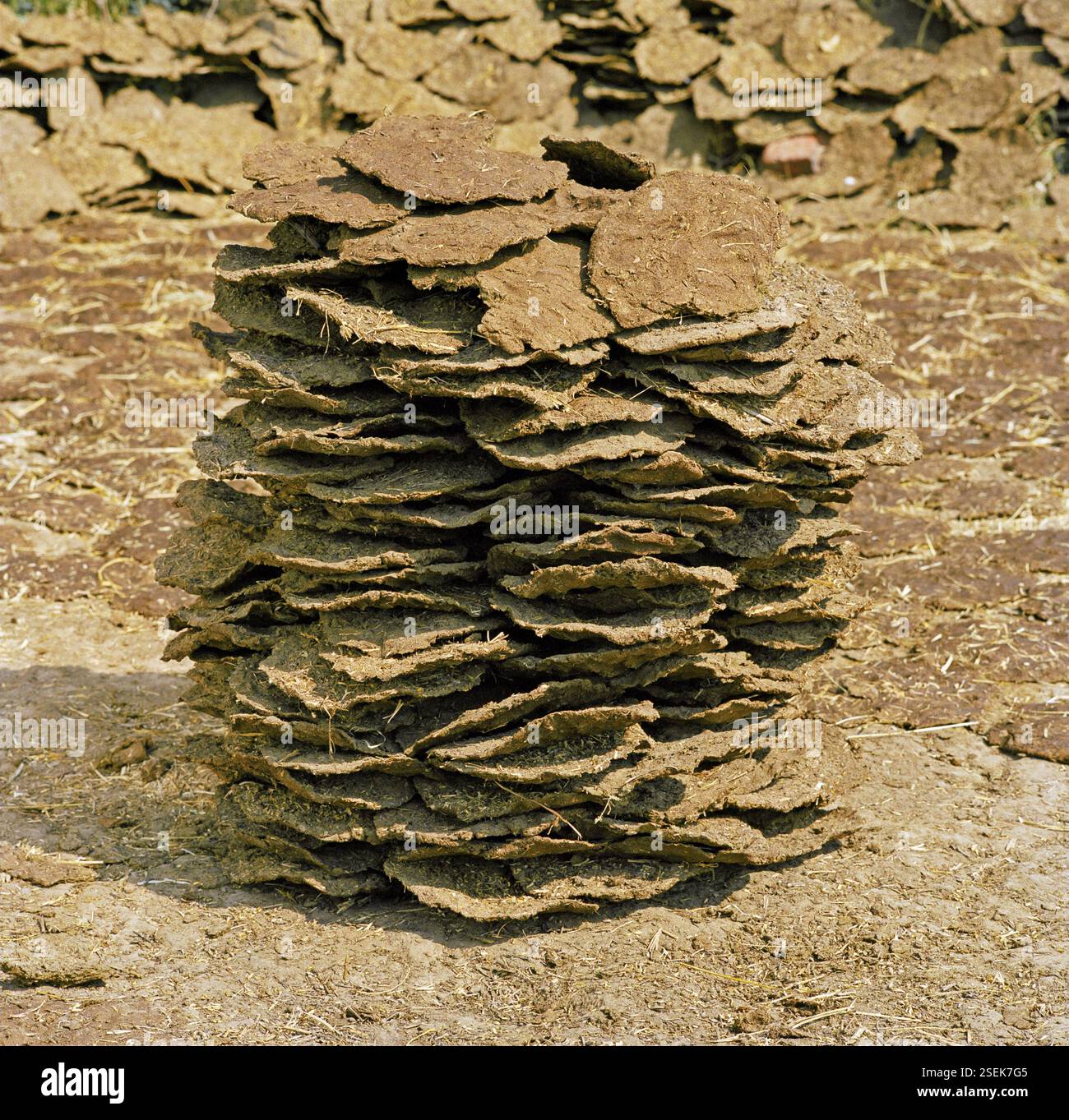 Cow dung cakes hi-res stock photography and images - Alamy