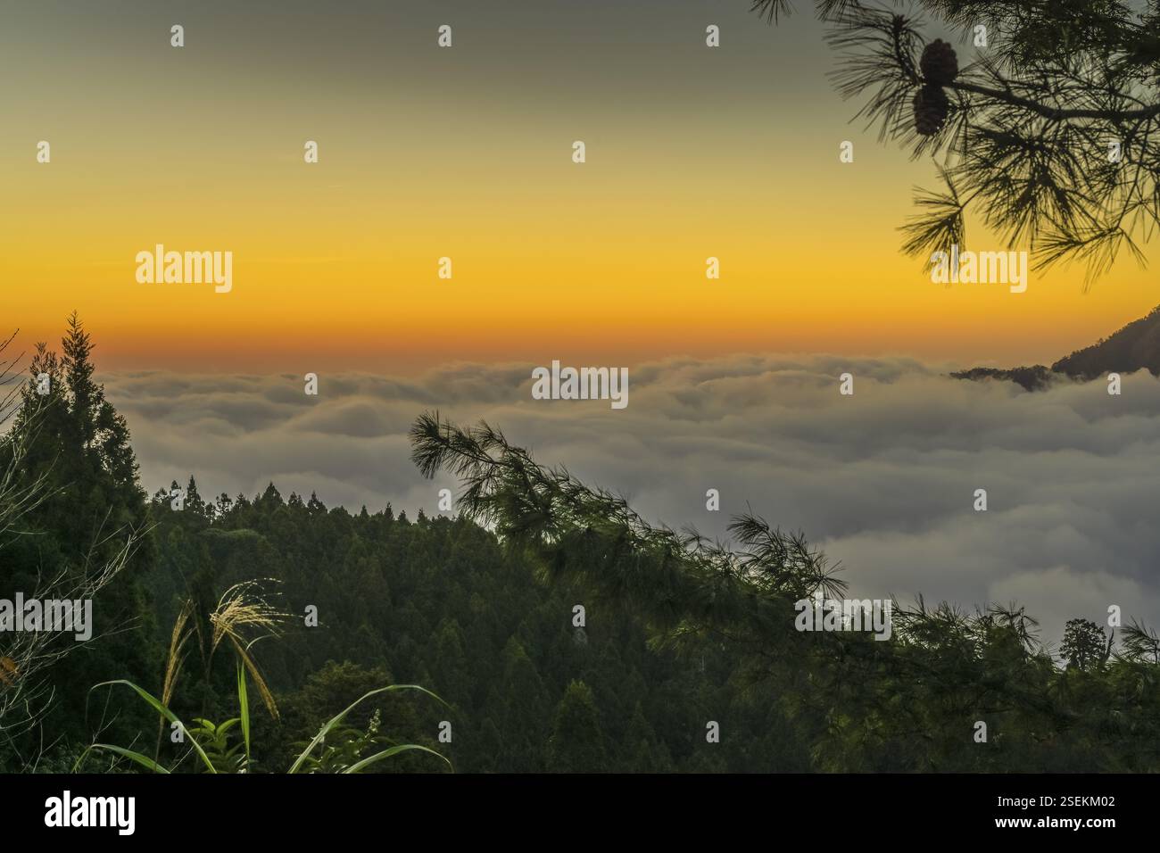 Sunset, fog in the valley, mountain landscape, low mountain range 