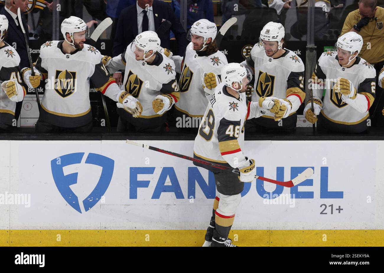 Tomas Hertl Golden Knights celebration Frequently Asked Questions