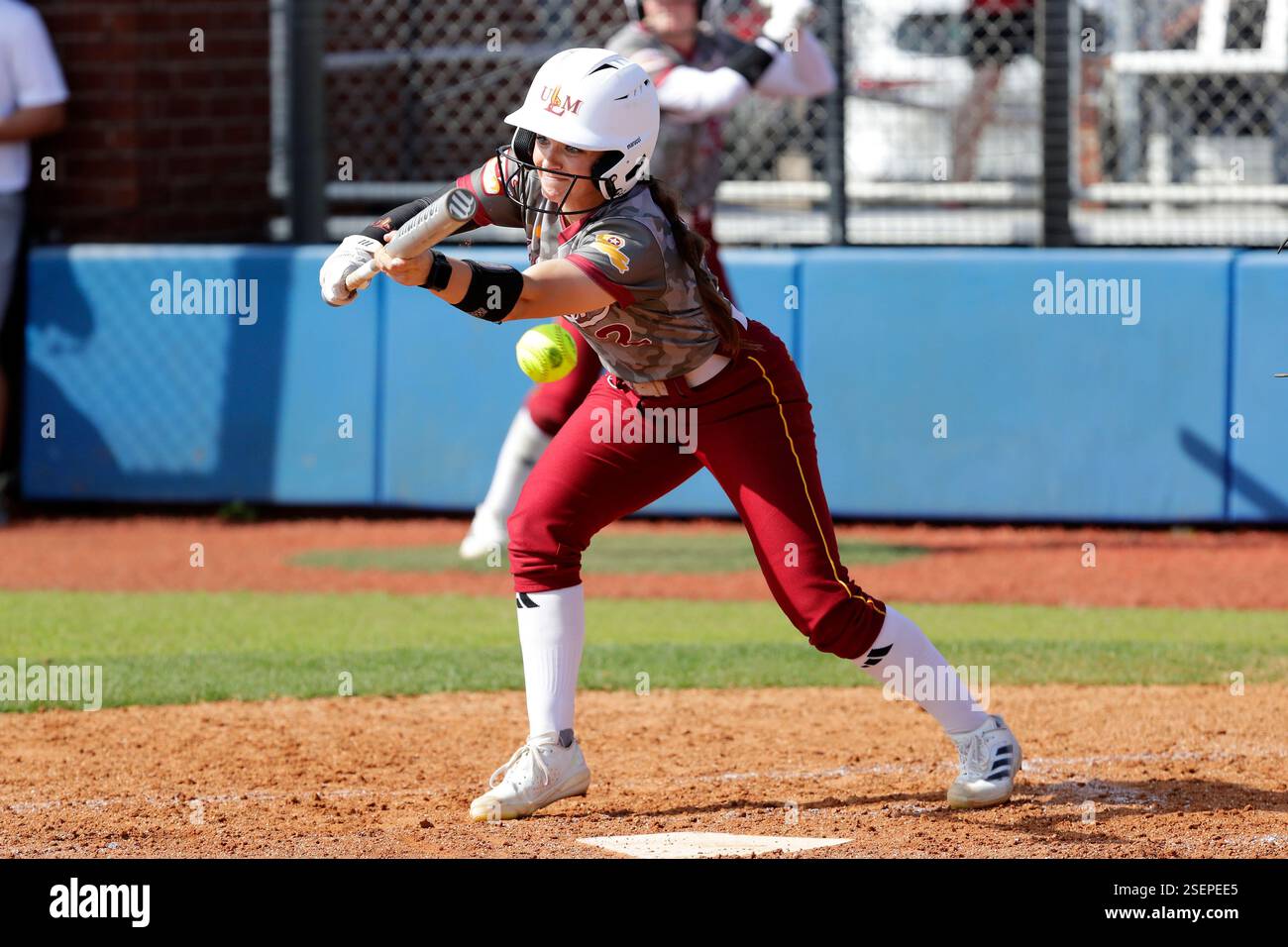 Louisiana Monroe's Elle Carter bunts against Houston Christian during ...