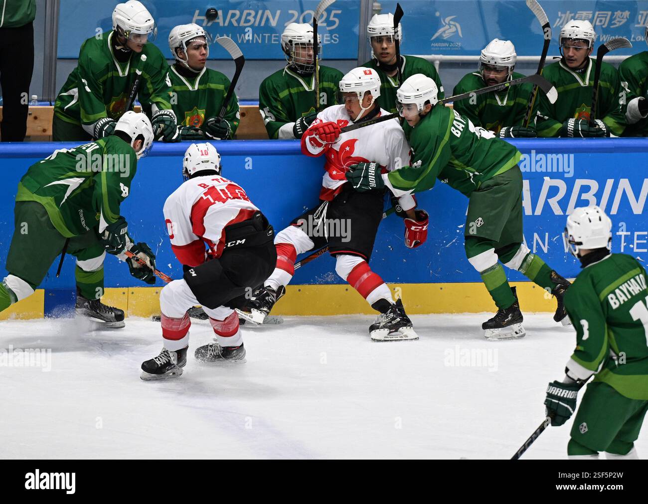 (250209) -- HARBIN, Feb. 9, 2025 (Xinhua) -- Team members of