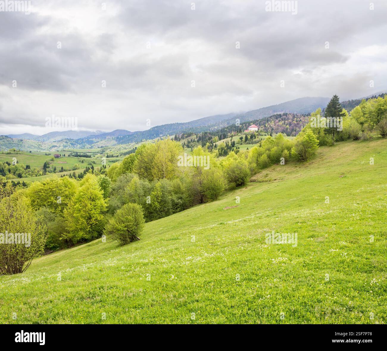 countryside mountain landscape in spring. lush grassy meadow. cloudy weather. field and forest on the hill. rolling rural scenery. rustic recreation i Stock Photo