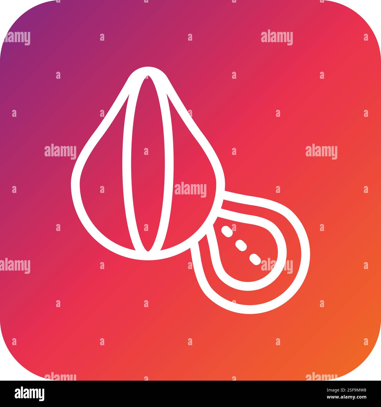 Chestnut Vector Icon Design Illustration Stock Vector