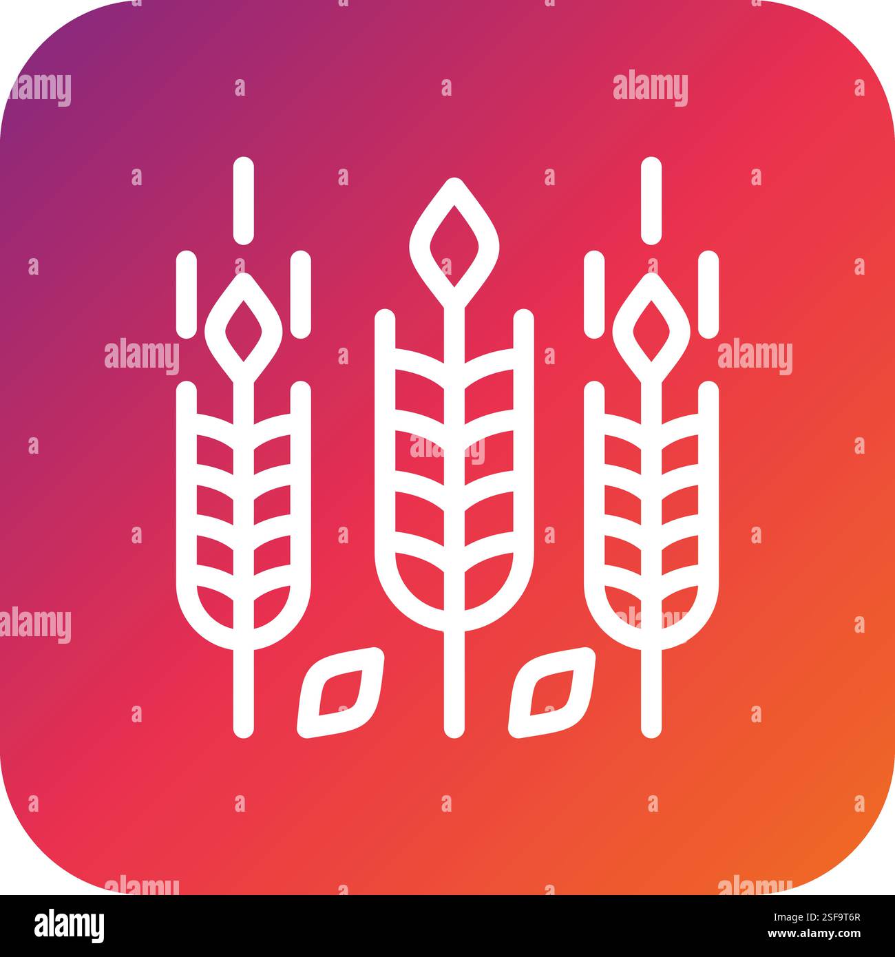 Wheat Vector Icon Design Illustration Stock Vector