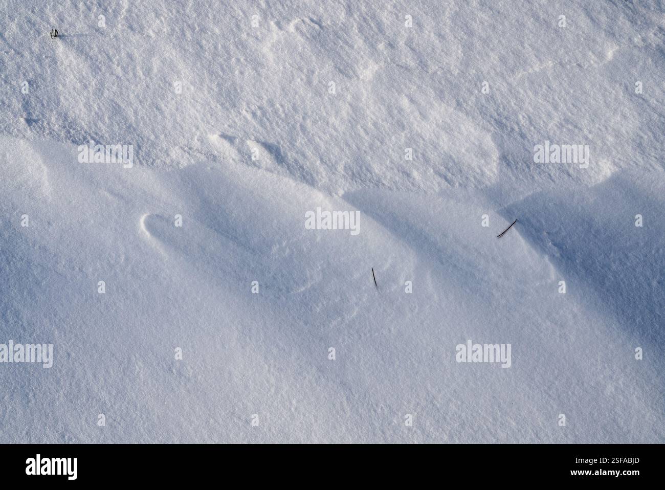 Shapes, textures, patterns created by snow and wind. Stock Photo