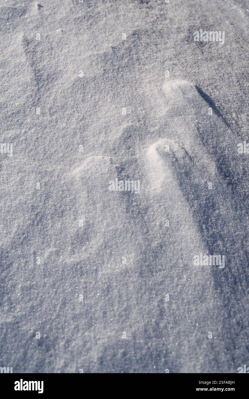 Shapes, textures, patterns created by snow and wind. Stock Photo