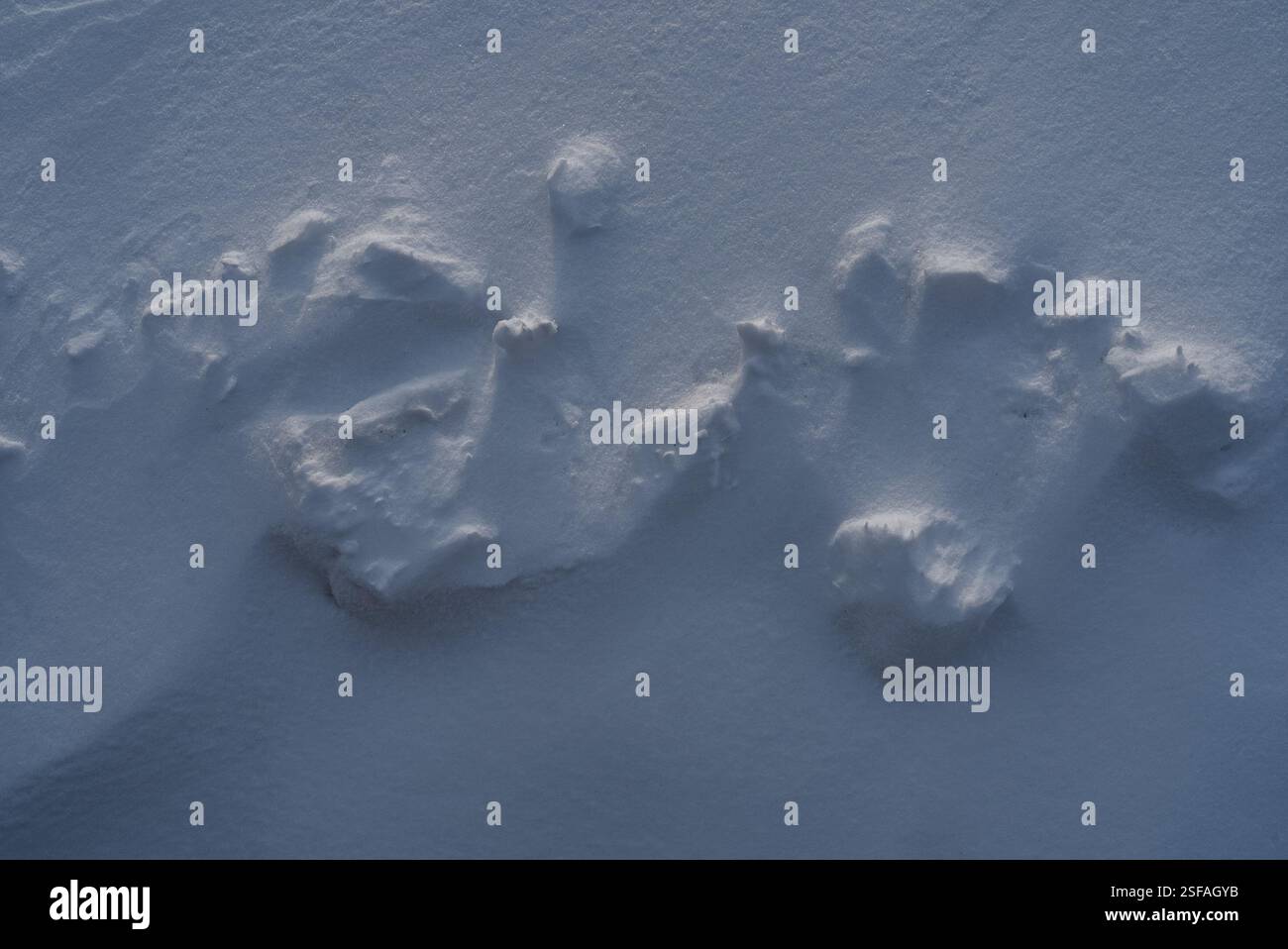 Snow texture, pattern. Light and shadow. Stock Photo