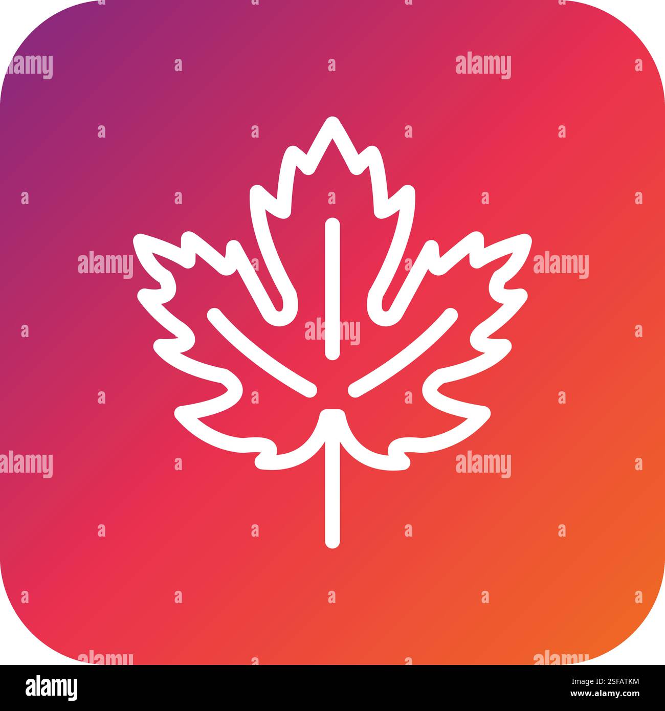 Maple leaf Vector Icon Design Illustration Stock Vector