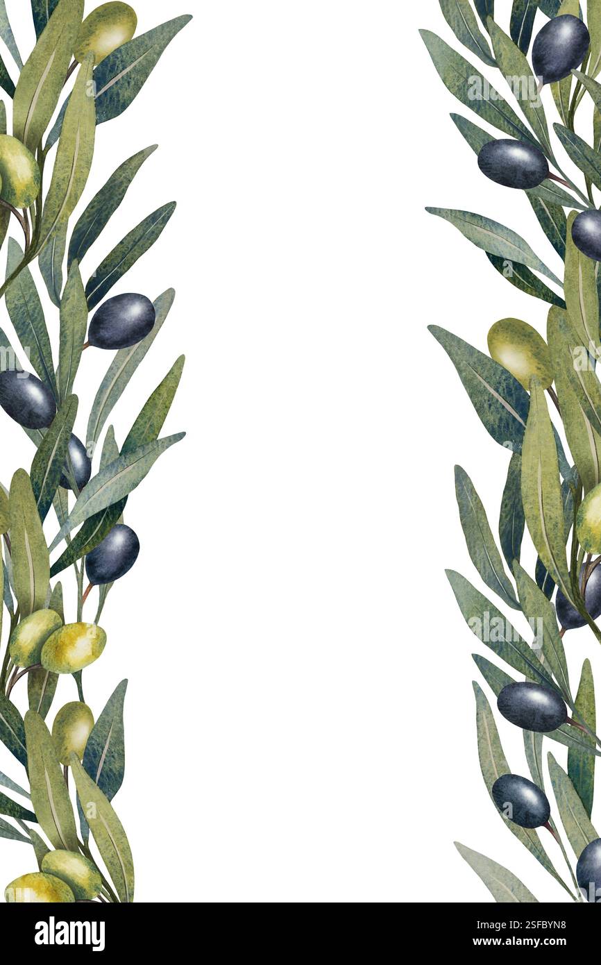 Hand drawn watercolor illustration of olive branches with green and ...