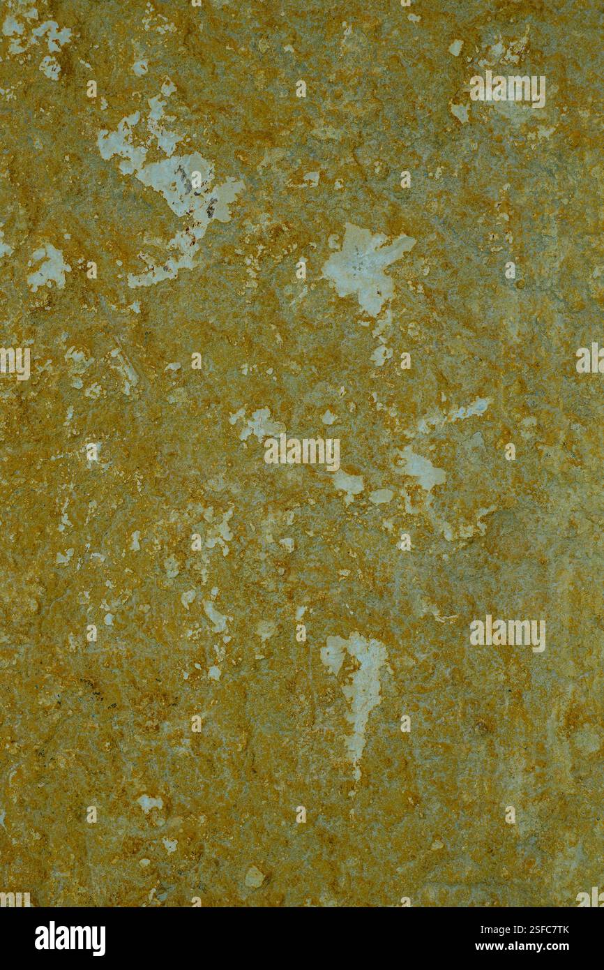 Rough limestone surface with structures reminiscent of a map Stock ...