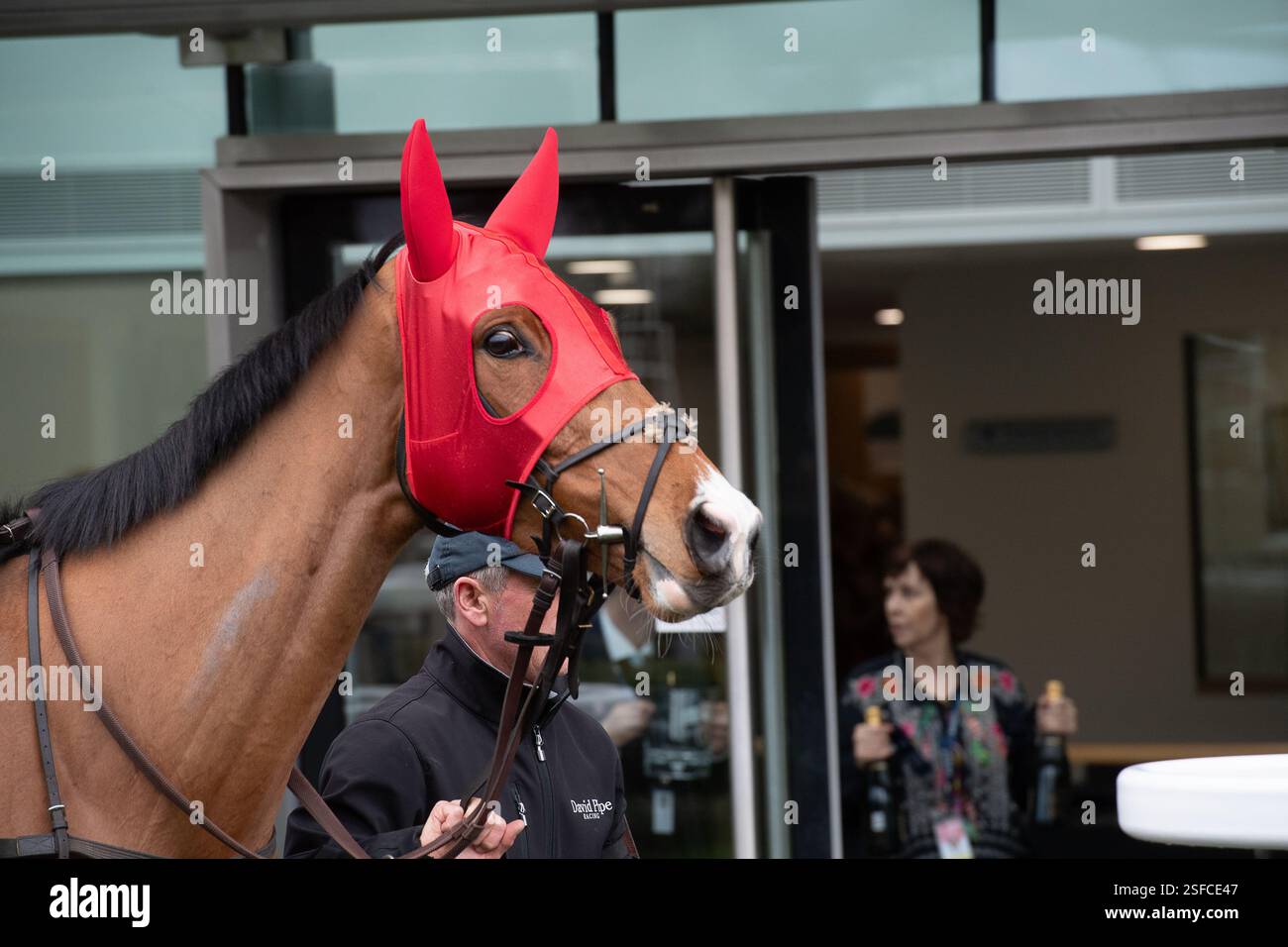 Phantomofthepoints horse hi-res stock photography and images - Alamy