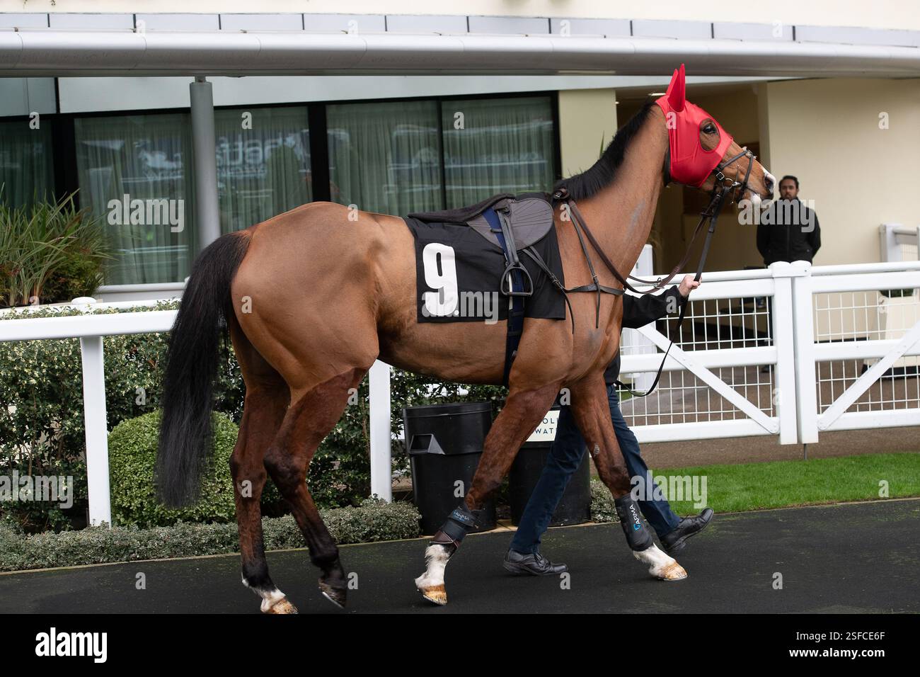 Phantomofthepoints horse hi-res stock photography and images - Alamy