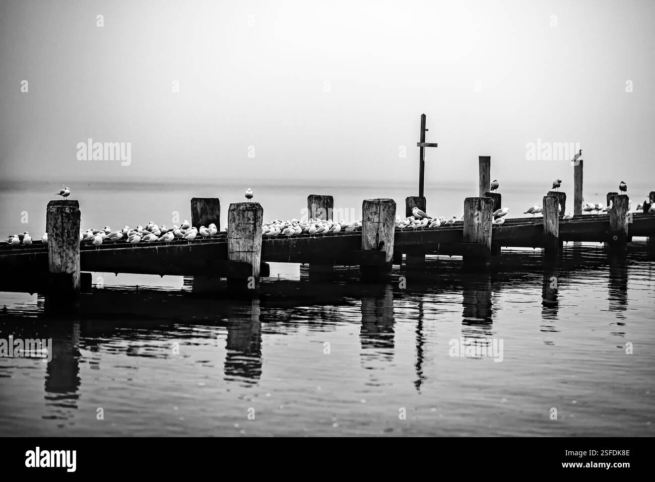 Landeplatz im Nebel Stock Photo