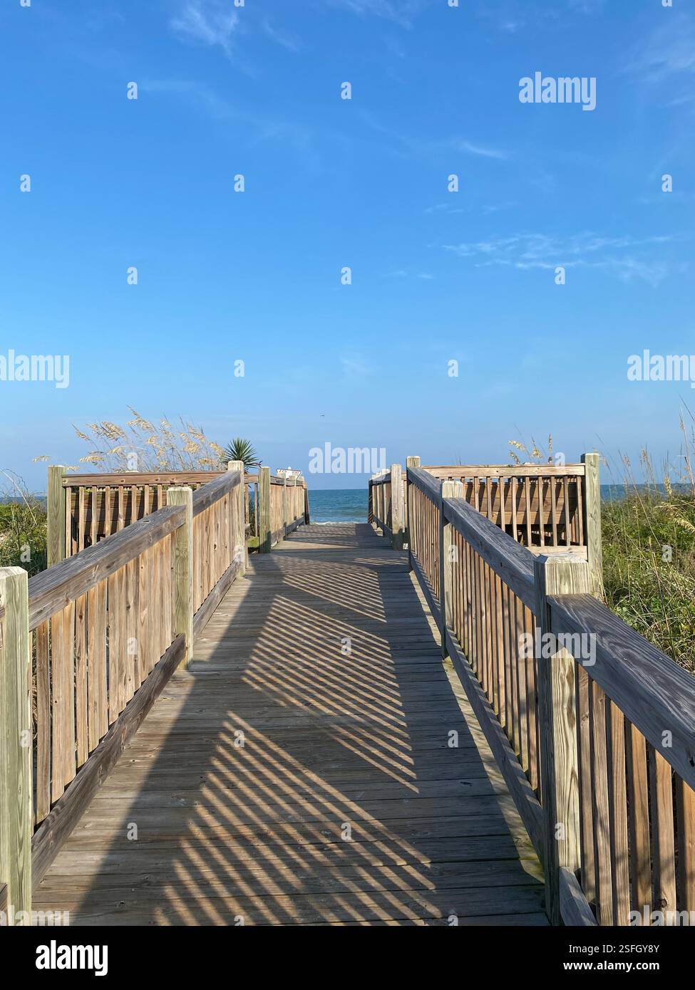 Take a walk to the ocean - Smartphone Captured Stock Image
