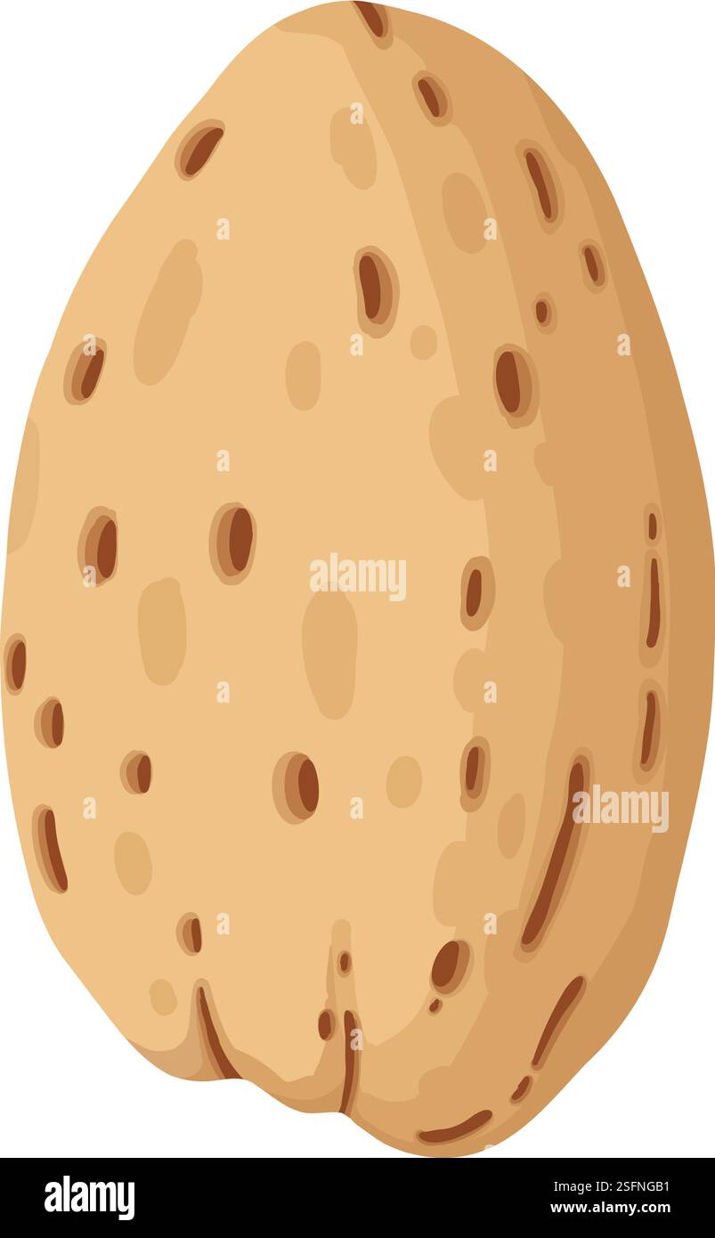 Cartoon almond. Delicious tasty almond snack, raw almonds in shell flat ...