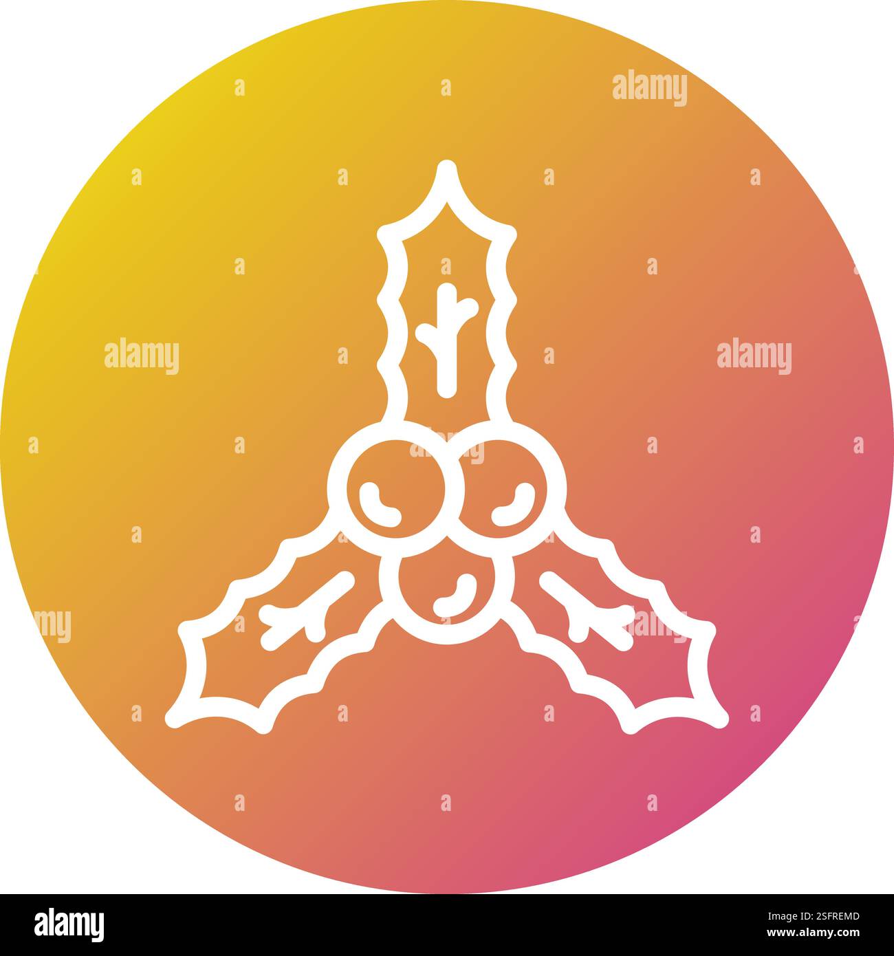 Holly vector Stock Vector Images - Alamy