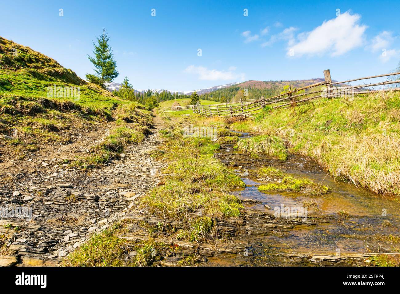 countryside scenery of ukraine in spring. outdoor adventure. sunny morning. mountainous rural landscape with grassy field on a hill behind fence. broo Stock Photo