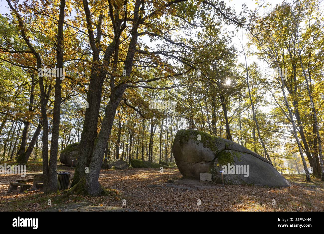 Granite rock Teufels Bettstatt, natural monument, Blockheide nature ...