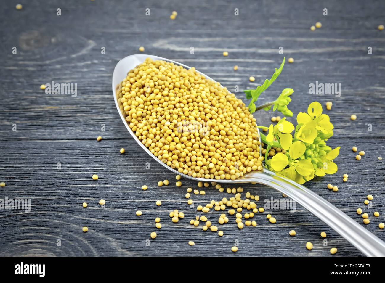 Mustard seeds in a metal spoon with a flower against a black wooden board Stock Photo