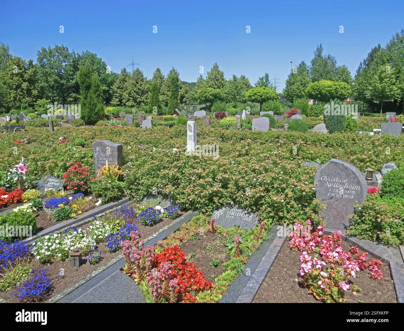 Cemetery, graves, trees Stock Photo - Alamy