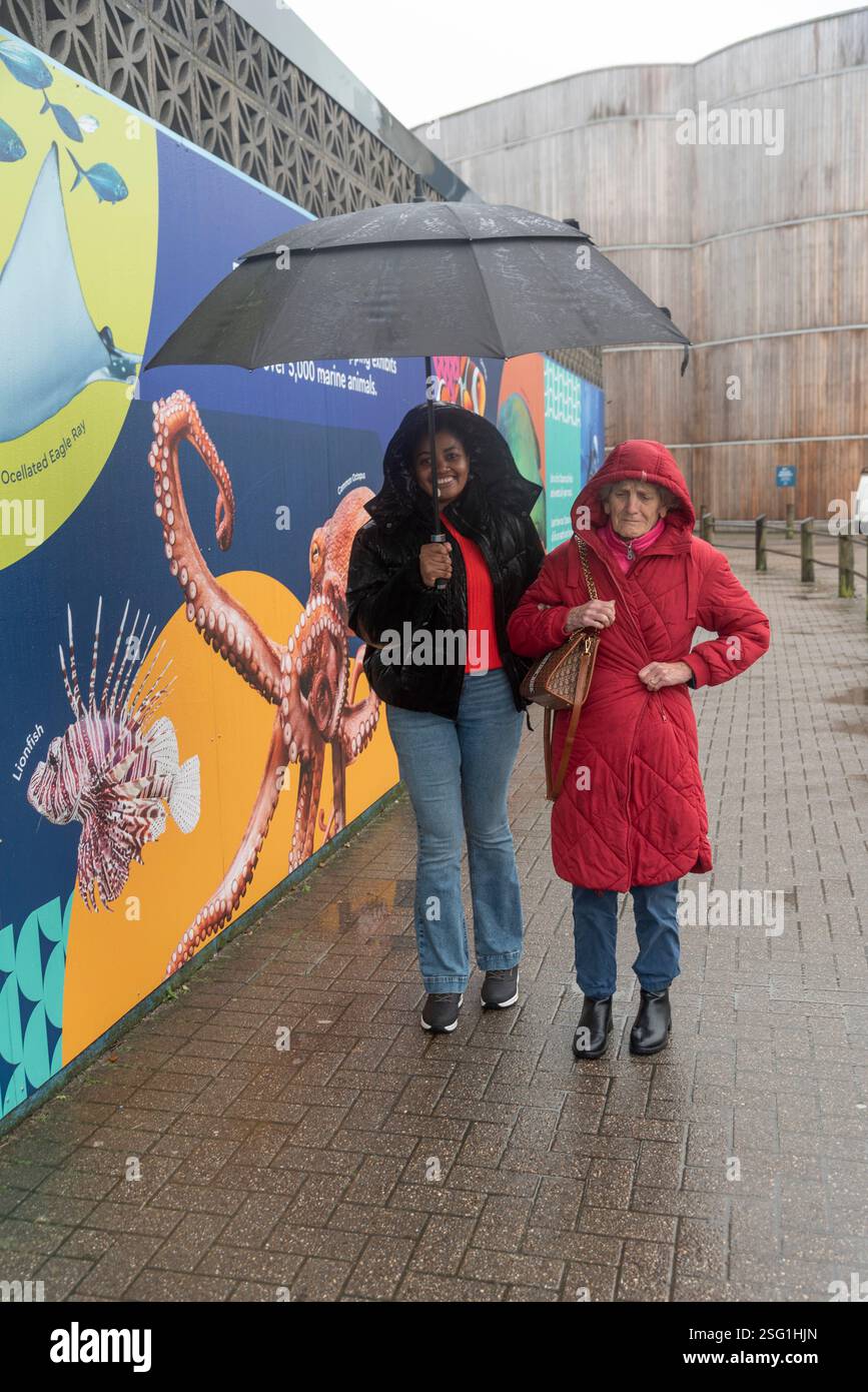 Rainy day during winter in hi-res stock photography and images - Alamy