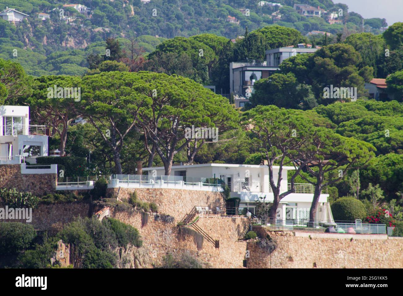 A scenic view of modern houses nestled among lush green trees on a ...