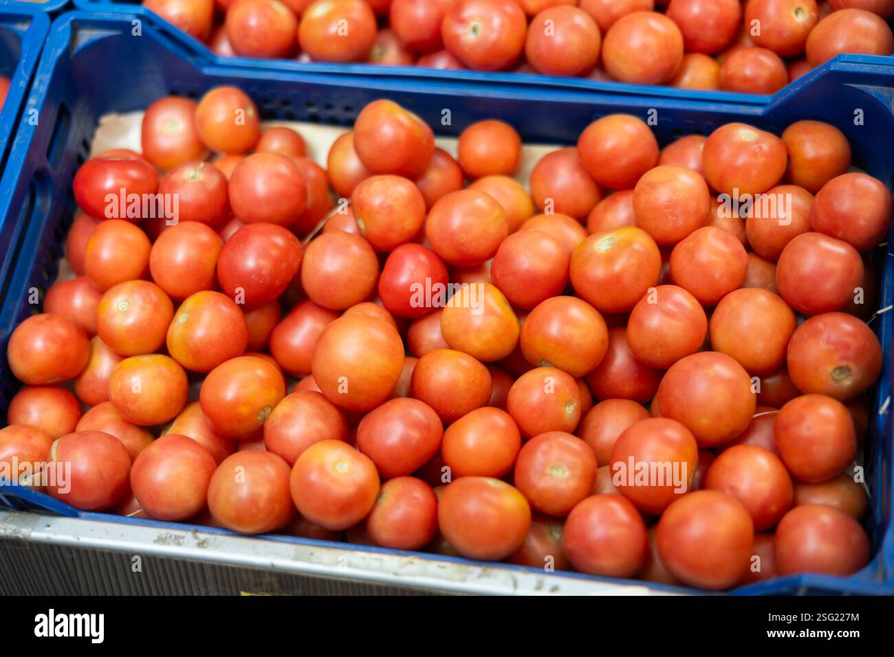 Fresh red tomatoes displayed in crates on market stall Stock Photo - Alamy