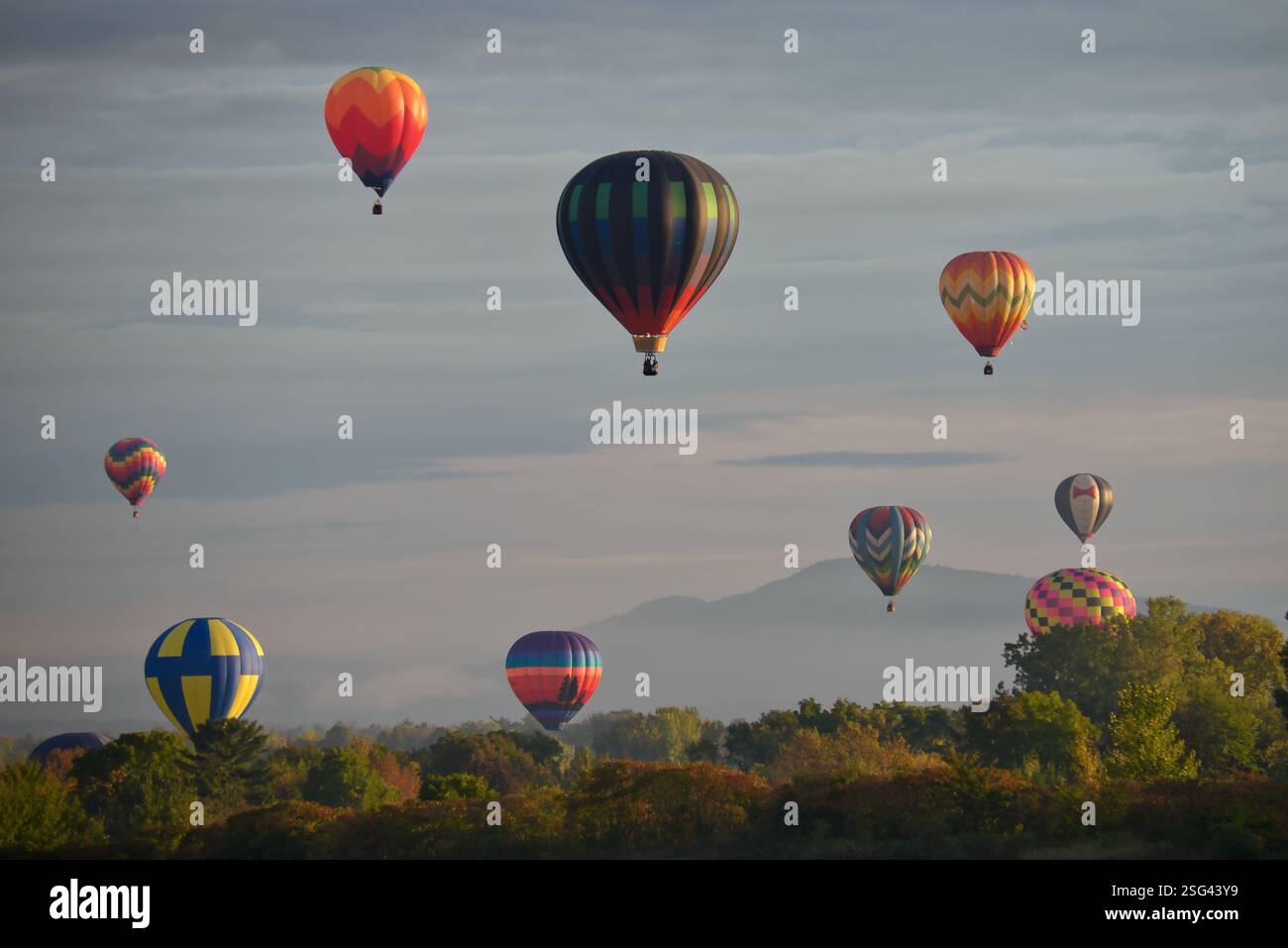 Colorful hot air balloons float above a lush landscape with a ...