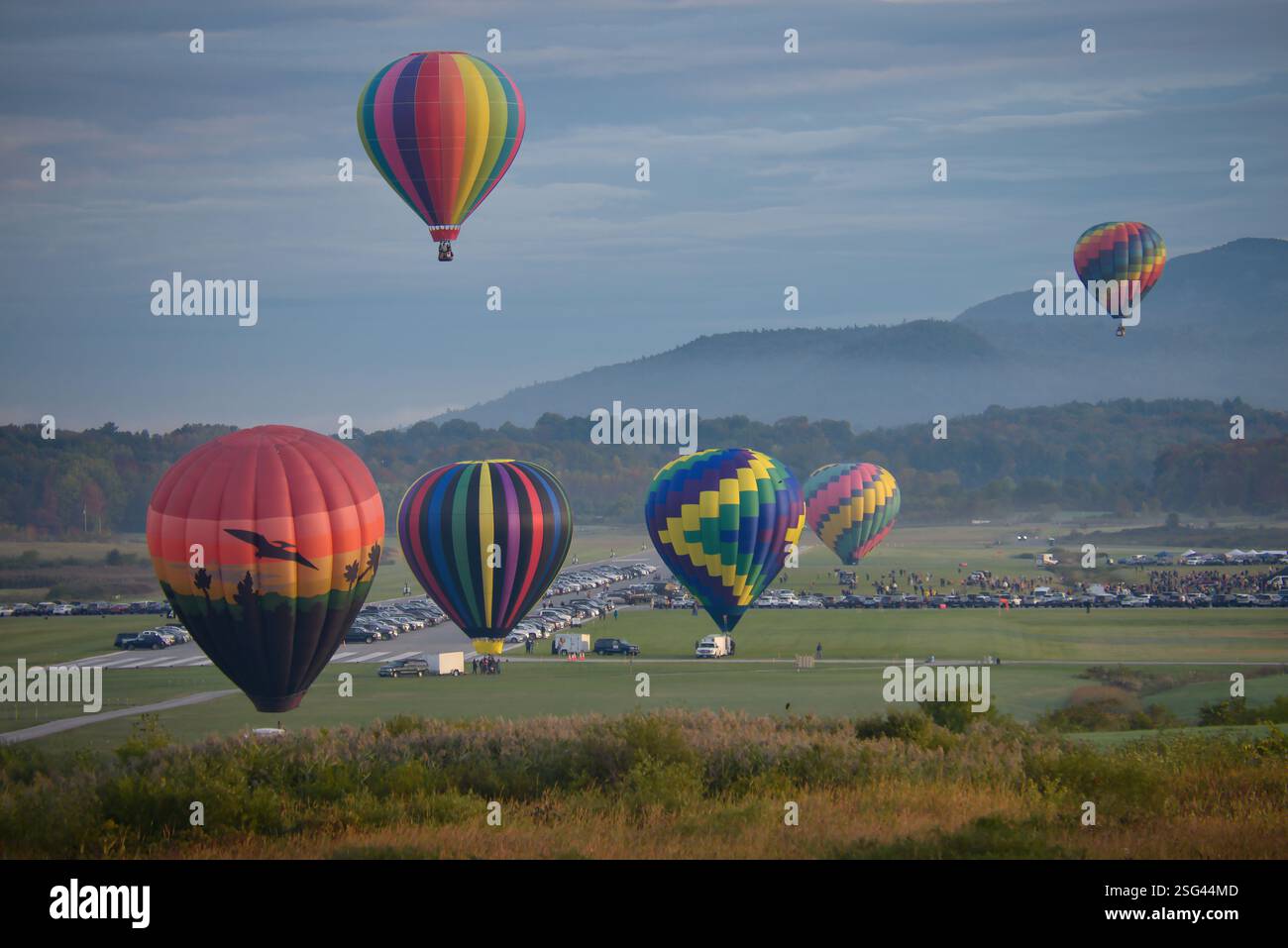 Colorful hot air balloons float above a lush landscape with a ...