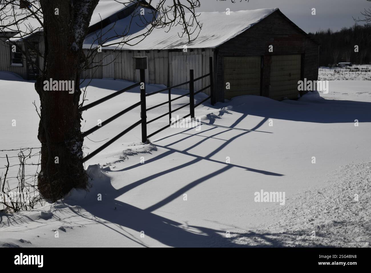 Iron fence with gate forming patterns in snow Stock Photo - Alamy
