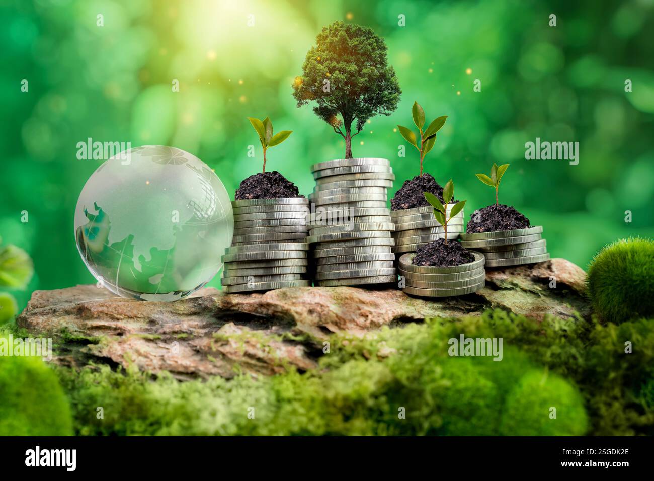 Coin stacks, and sprouting seedlings on top, representing eco-friendly ...