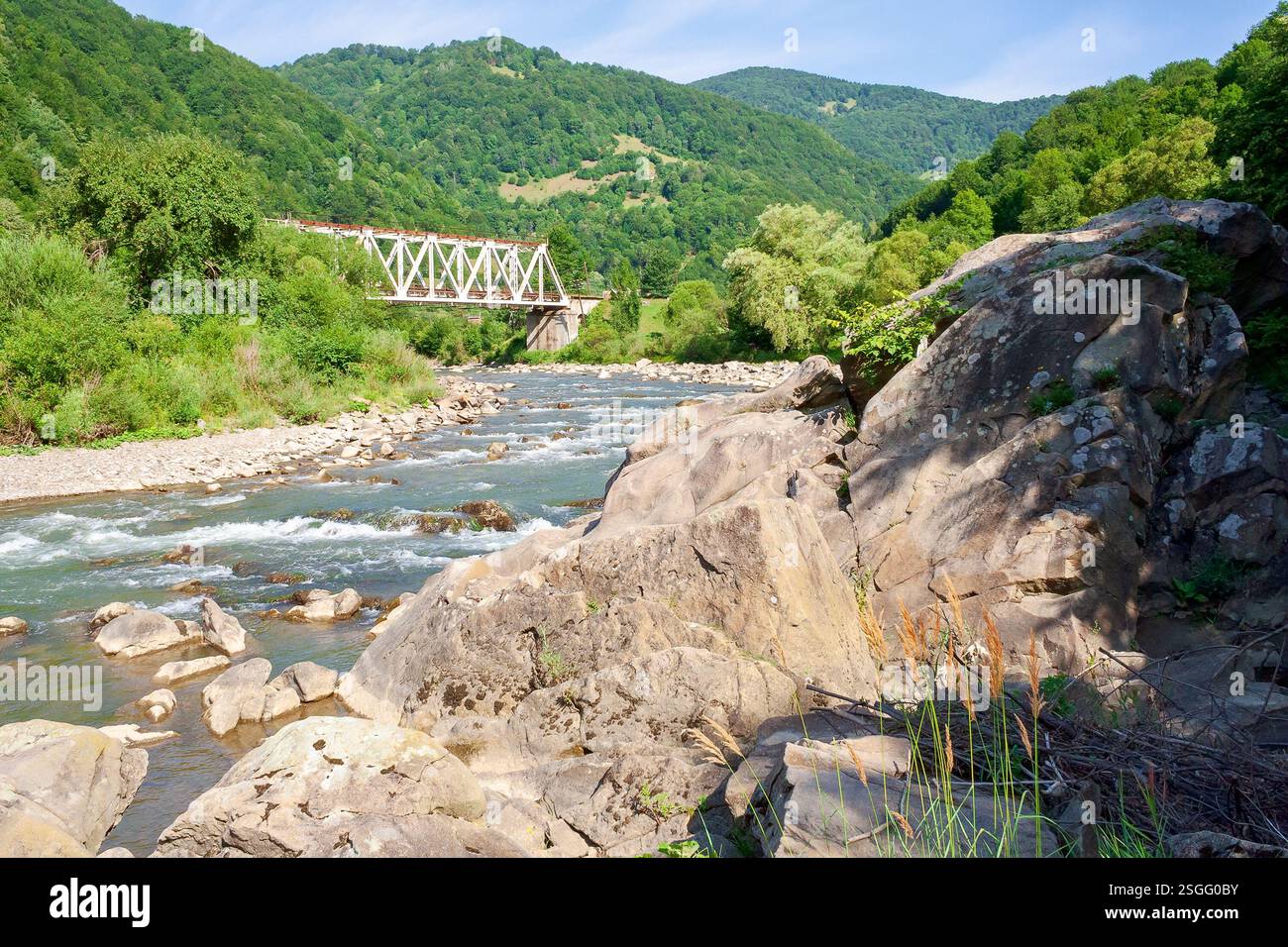 river flows through the valley in carpathian mountains. shallow water reveals stones. beautiful landscape in summer on an sunny morning Stock Photo