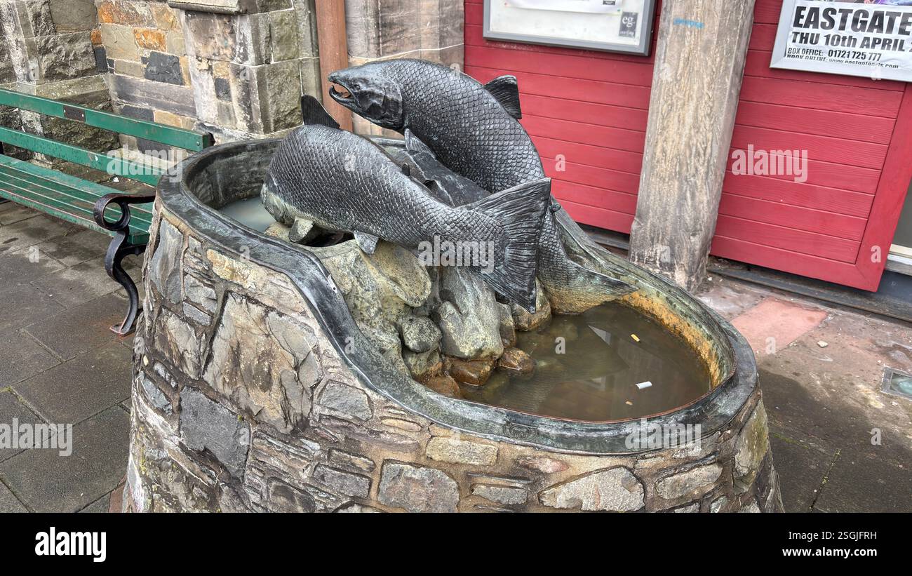 Fish Sculpture outside Eastgate Theatre in Peebles, Scottish Borders. Beautiful old village town in the Borders area of Scotland. Historic buildings - Smartphone Captured Stock Image