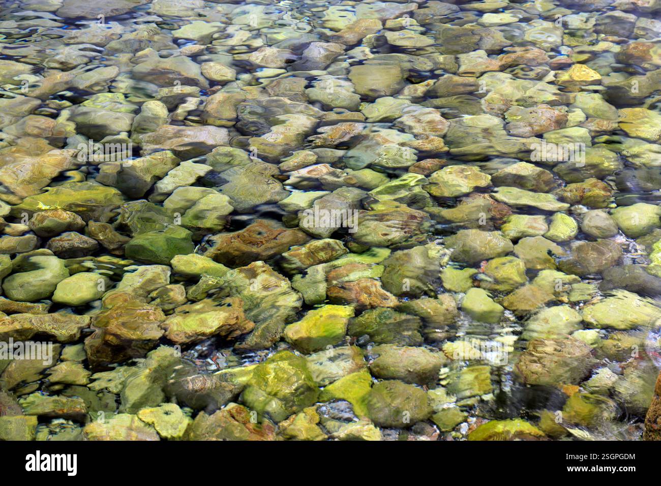 Shallow sea and rocky bottom. Stock Photo