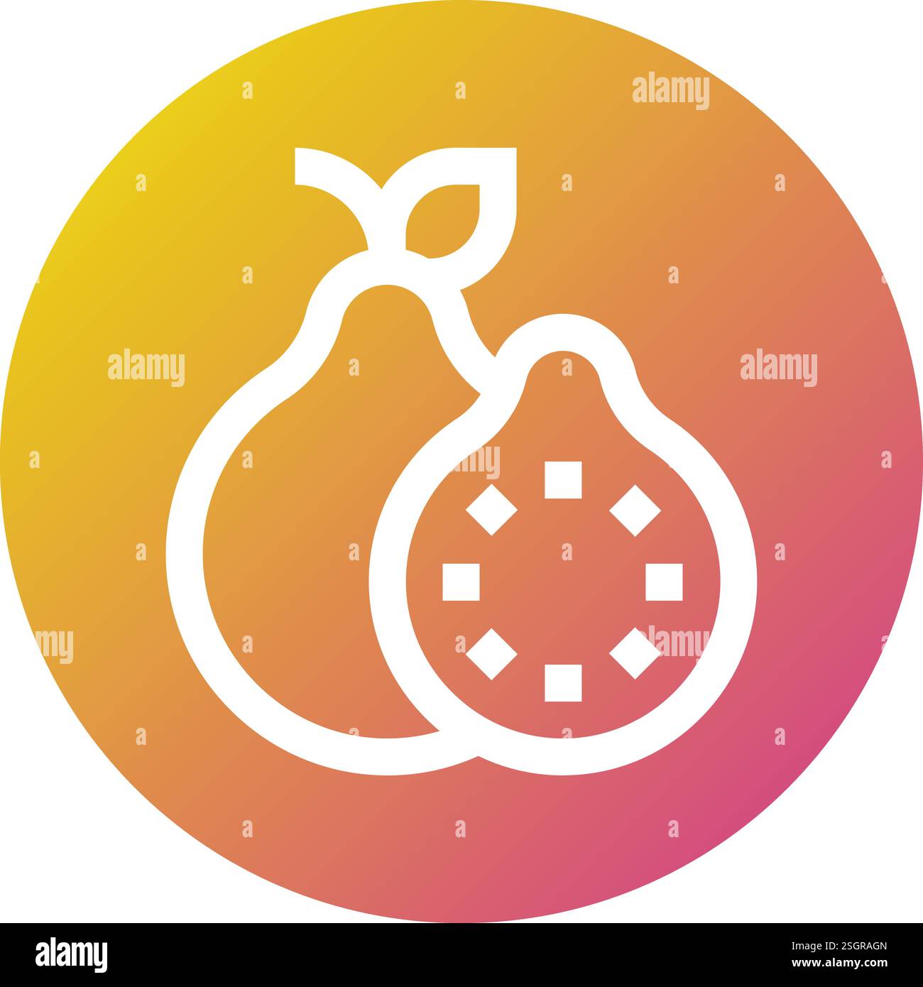 Guava Vector Icon Design Illustration Stock Vector