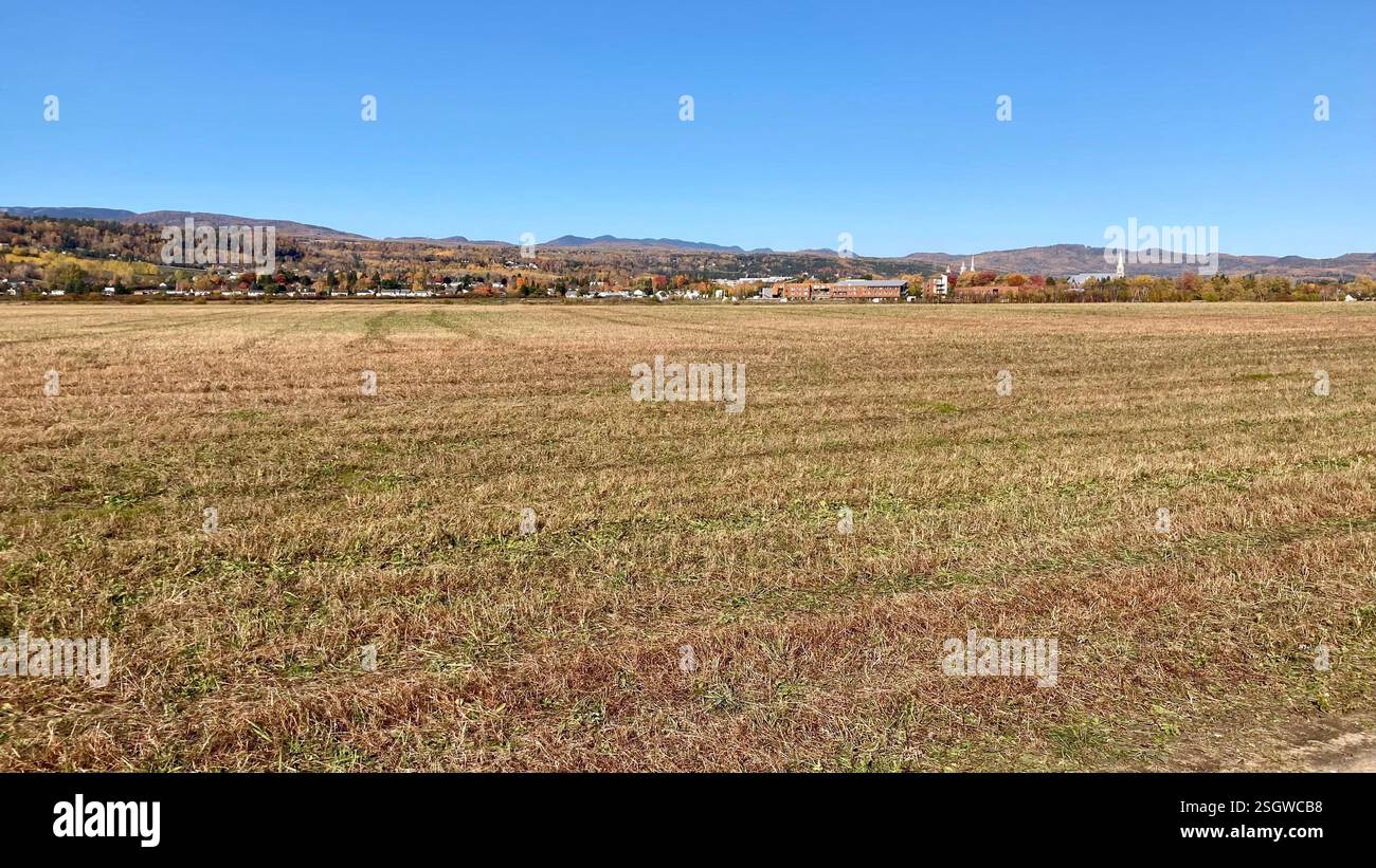 A peaceful and scenic escape into nature’s raw beauty. - Smartphone Captured Stock Image