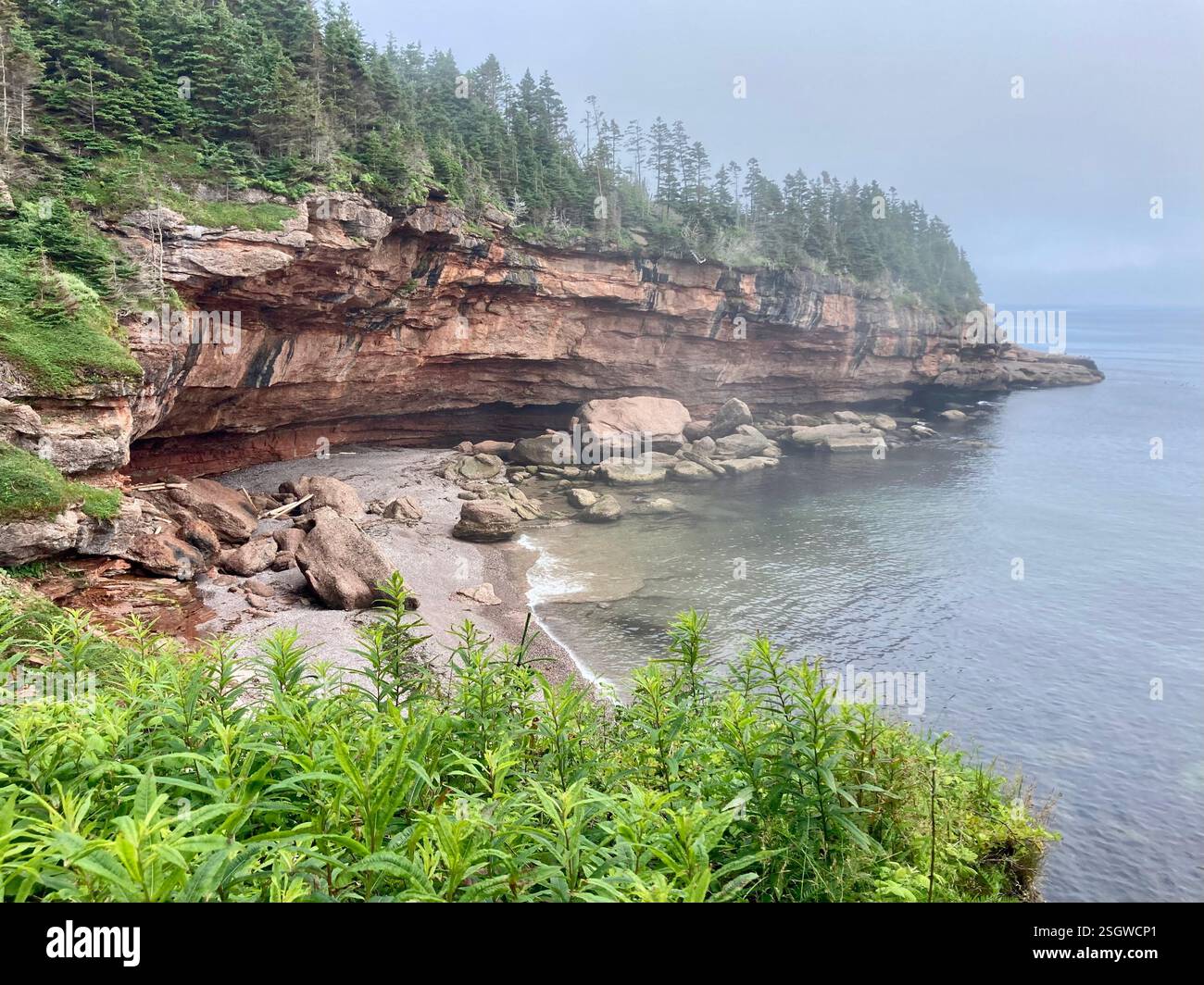 A mystical cliffside shrouded in fog, where the sea disappears into the mist, creating a tranquil and otherworldly atmosphere. - Smartphone Captured Stock Image