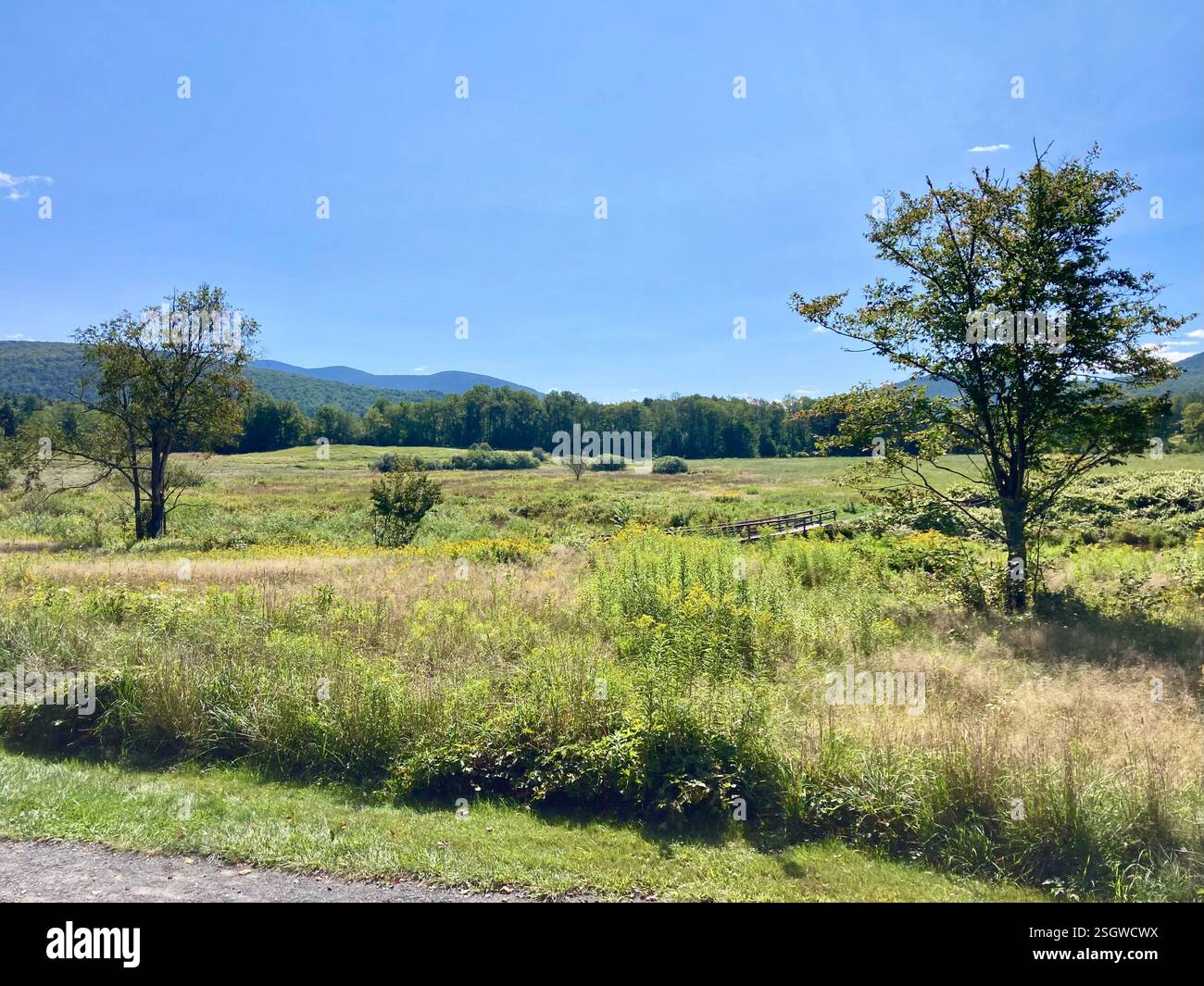 A tranquil landscape at the foot of the mountain, with rolling meadows, lush greenery, and a peaceful natural setting - Smartphone Captured Stock Image