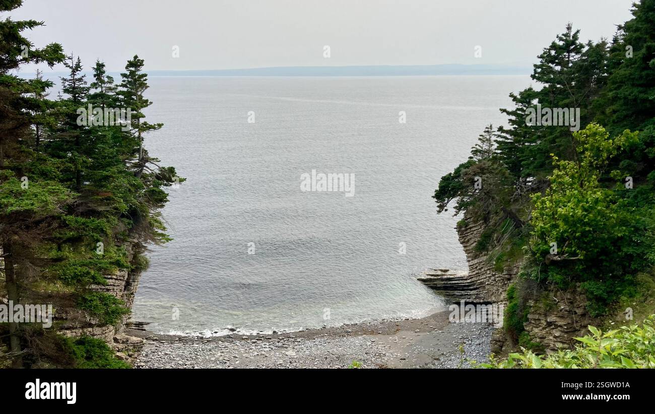 Foggy morning on the rugged coastline - Smartphone Captured Stock Image