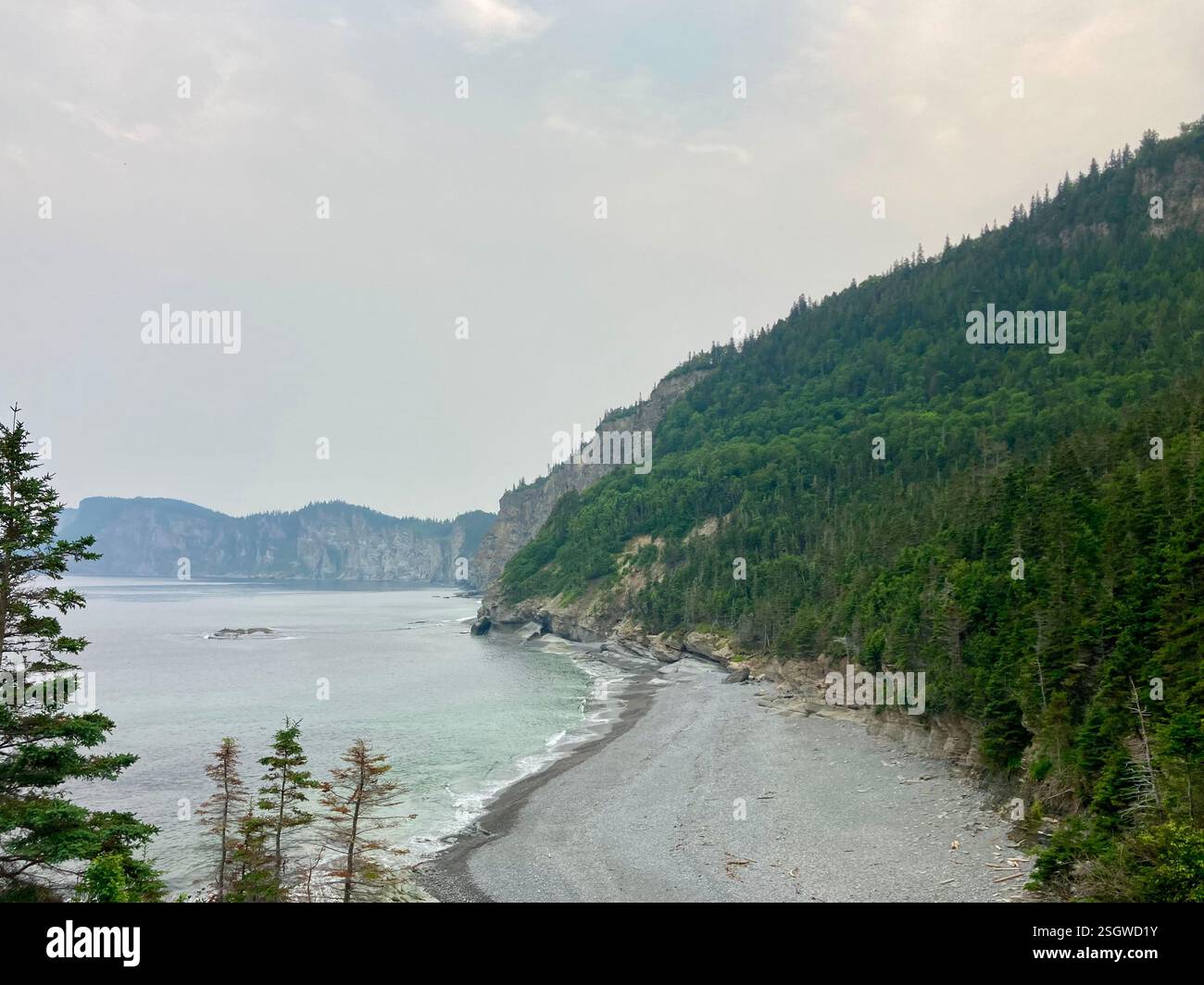 Breathtaking coastal cliffs meet the misty sea - Smartphone Captured Stock Image