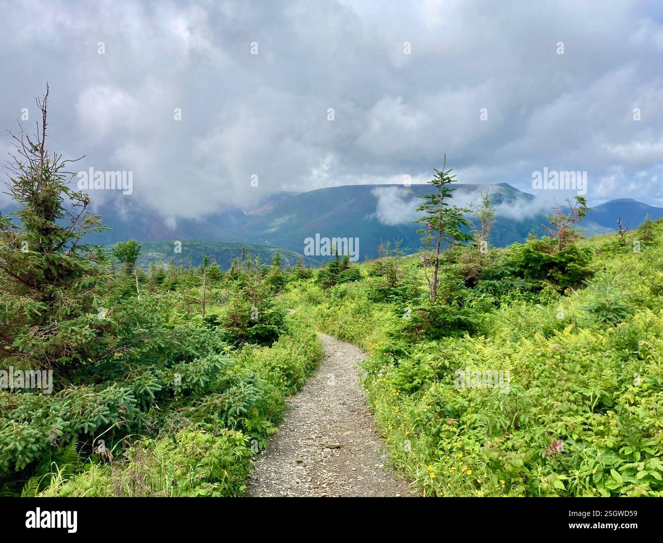 Lost in the clouds, a solitary path winds through the mountains, offering a breathtaking journey to the peak - Smartphone Captured Stock Image