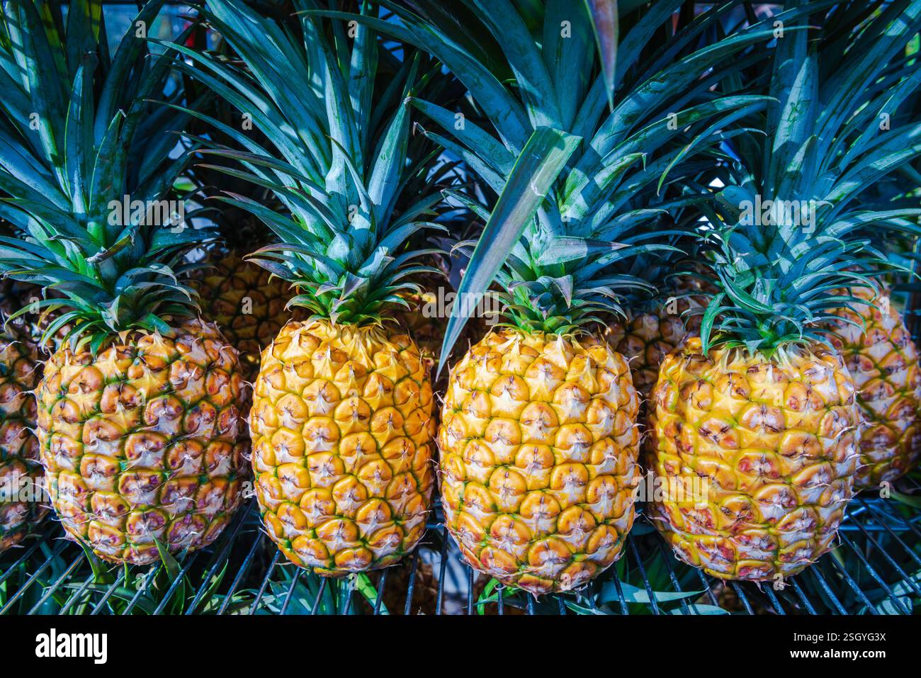 Hawaii fruit stand hi-res stock photography and images - Alamy