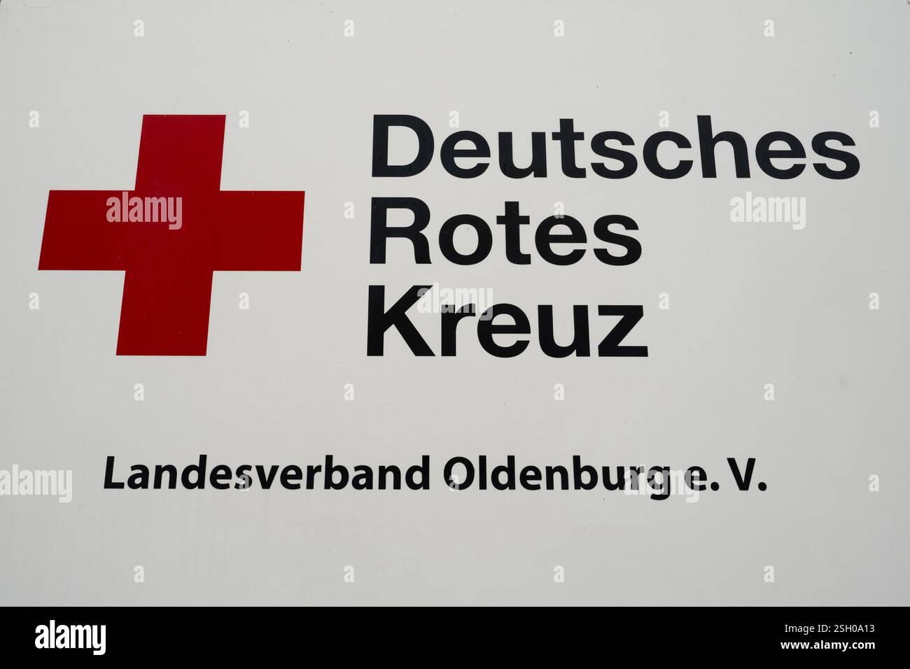 Bodum Ersatzteil Kreuz Plate - Für Chambord Milchaufschäumer