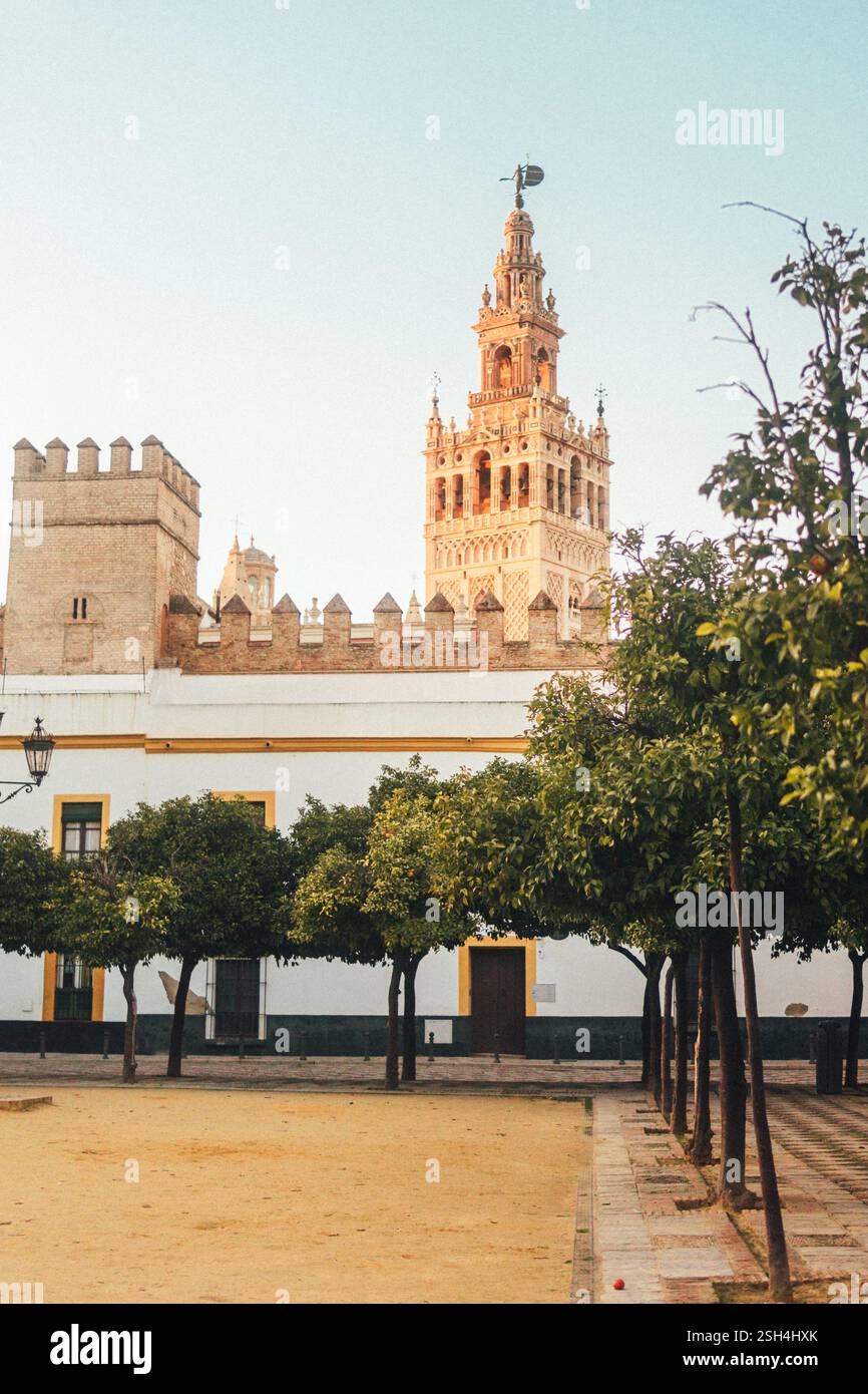 Seville plaza dona elvira hi-res stock photography and images - Alamy
