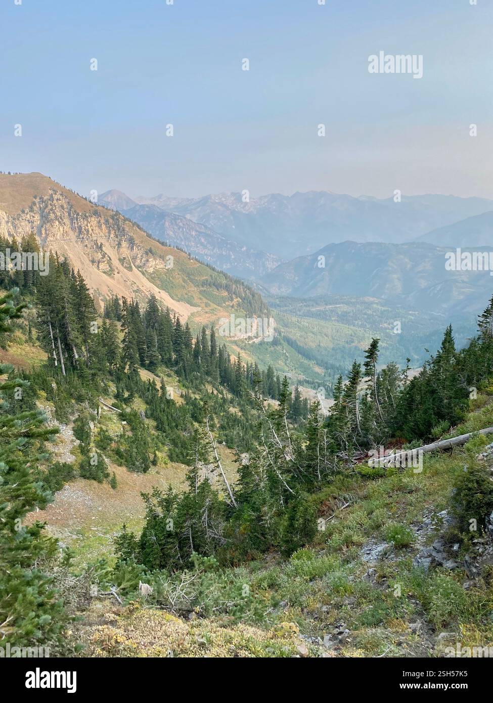 View from Mt. Timpanogos | Utah - Smartphone Captured Stock Image